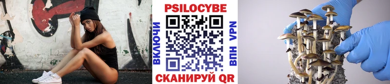 Купить закладки Дзержинский Галлюциногенные грибы ЛСД